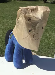 Size: 1201x1645 | Tagged: derpibooru import, face on a bag, i think that's not the paper bag pony, oc, oc:digital wrench, oc:paper bag, paper bag, photo, plushie, safe