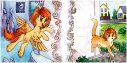 Size: 2186x1092 | Tagged: safe, artist:red-watercolor, derpibooru import, oc, oc:firetale, unofficial characters only, cat, pegasus, pony, catified, female, frog (hoof), mirror portal, paws, species swap, surprised, transformation, underhoof, underpaw, wings