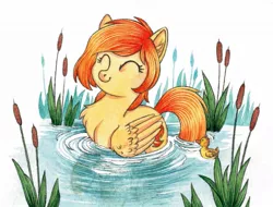 Size: 1181x896 | Tagged: safe, artist:red-watercolor, derpibooru import, oc, oc:firetale, unofficial characters only, bird, duck, pegasus, pony, cute, female, solo, swimming, water, wings