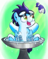 Size: 1286x1600 | Tagged: safe, artist:dsana, derpibooru import, oc, oc:sorian', bird, pegasus, pony, bathing, behaving like a bird, bird bath, colt, cute, goggles, male, not salmon, not soarin, open mouth, sitting, solo, wat, water, wet