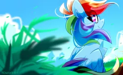 Size: 3600x2200 | Tagged: safe, artist:nekosnicker, derpibooru import, rainbow dash, pegasus, pony, chest fluff, cute, dashabetes, eye clipping through hair, female, grass, high res, looking at you, looking back, looking back at you, mare, scenery, sitting, sky, smiling, solo, windswept mane, worm's eye view