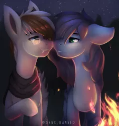 Size: 1651x1745 | Tagged: safe, artist:syncbanned, derpibooru import, oc, bat pony, pegasus, pony, campfire, couple, night