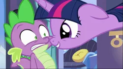 Size: 1279x720 | Tagged: alicorn, boop, cropped, cute, derpibooru import, duo, floppy ears, looking at each other, noseboop, safe, screencap, shrunken pupils, smiling, spike, the times they are a changeling, twiabetes, twilight sparkle, twilight sparkle (alicorn)