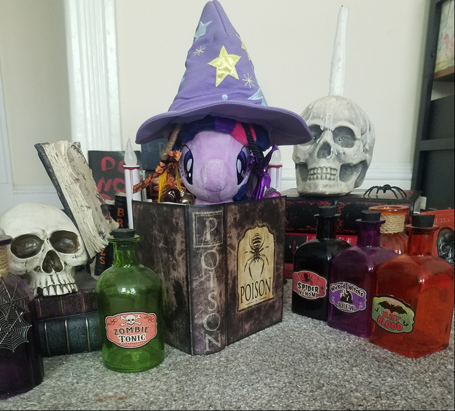 Size: 849x767 | Tagged: book, clothes, derpibooru import, halloween, hat, holiday, photo, plushie, poison, potion, ritual, safe, skull, trixie's hat, twilight sparkle, wizard hat