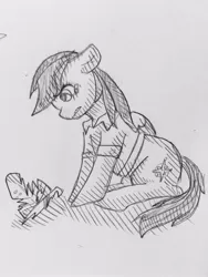 Size: 1536x2048 | Tagged: safe, artist:naki4949, derpibooru import, daring do, pegasus, pony, pencil drawing, solo, traditional art