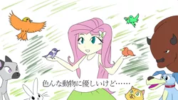 Size: 1600x900 | Tagged: safe, artist:bikkurimoon, derpibooru import, fluttershy, equestria girls, animal, comic, japanese