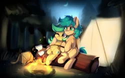 Size: 1720x1080 | Tagged: safe, artist:colorfulcolor233, derpibooru import, oc, oc:keyla, oc:summer ray, unofficial characters only, pegasus, pony, campfire, female, fire, food, forest, hug, male, mare, marshmallow, moon, night, stallion, tent, winghug