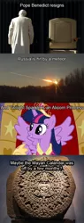 Size: 500x1310 | Tagged: alicorn, alicorn drama, derpibooru import, drama, mayan apocalypse, pope, russian meteor, safe, text, twilight sparkle, twilight sparkle (alicorn)