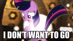 Size: 960x540 | Tagged: caption, david tennant, derpibooru import, doctor who, i don't want to go, image macro, magical mystery cure, regeneration, safe, solo, tardis, tenth doctor, text, transformation, twilight sparkle