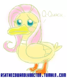 Size: 300x351 | Tagged: 30 minute art challenge, artist:cowardlydoctor, bird, derpibooru import, duck, female, flutterduck, fluttershy, quack, safe, simple background, solo, species swap, white background