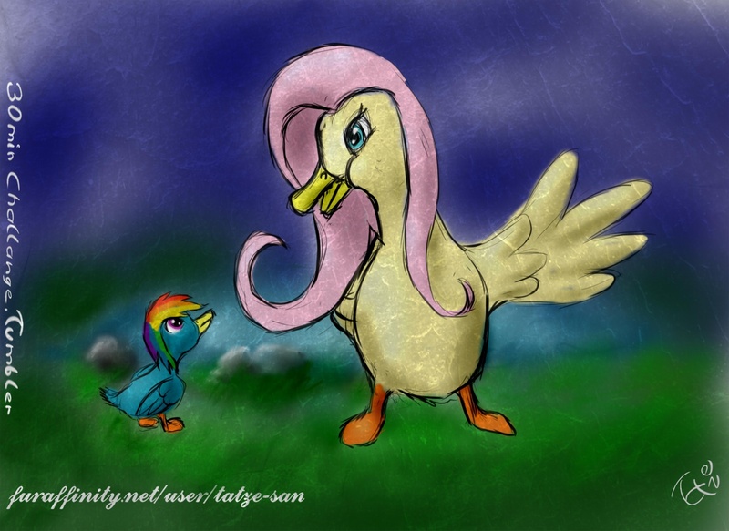 Size: 1280x932 | Tagged: 30 minute art challenge, artist:tatze-san, bird, derpibooru import, duck, duo, female, flutterduck, fluttershy, rainbow dash, rainbow duck, safe, species swap