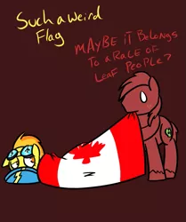 Size: 675x809 | Tagged: safe, artist:autonomous-zed, derpibooru import, big macintosh, spitfire, earth pony, pony, ask, canada, canada day, flag, grimdark big mac, male, stallion, tumblr