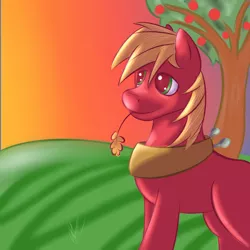 Size: 4000x4000 | Tagged: safe, artist:tilitoom, derpibooru import, big macintosh, earth pony, pony, male, solo, stallion