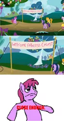 Size: 800x1500 | Tagged: banner, berry punch, berryshine, carrot top, cherry berry, close enough, comic, derpibooru import, edit, edited screencap, golden harvest, meme, safe, screencap, screencap comic, swarm of the century, twilight sparkle, twinkleshine, we couldn't fit it all in, welcome princess celest