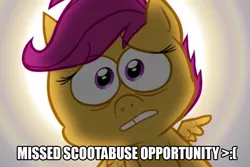 Size: 960x640 | Tagged: abuse, background pony strikes again, caption, derpibooru import, gap teeth, image macro, .mov, pony.mov, safe, scootabuse, scootaloo, swag.mov, text