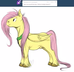 Size: 1149x1121 | Tagged: safe, artist:cartoonlion, derpibooru import, fluttershy, oc, oc:futashy, pegasus, pony, bill peet, futa, futa fluttershy, intersex, nudity, sheath, simple background, solo, style emulation, tumblr, unshorn fetlocks, white background