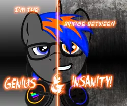 Size: 1250x1040 | Tagged: safe, artist:ty trance, derpibooru import, oc, unofficial characters only, pony, unicorn, duality, headphones, no you aren't, solo, two sided posters