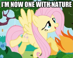 Size: 625x496 | Tagged: caption, derpibooru import, flutterhigh, fluttershy, high, hippie, hippieshy, image macro, safe, text