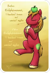 Size: 1700x2498 | Tagged: safe, artist:topgull, derpibooru import, big macintosh, earth pony, pony, apple, food, male, meditating, stallion, tao te ching, zen