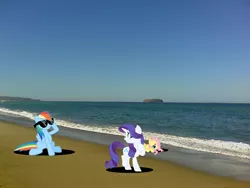 Size: 1600x1200 | Tagged: safe, artist:joeypony, derpibooru import, fluttershy, rainbow dash, rarity, pony, beach, glasses, irl, photo, ponies in real life, tide, vector, water