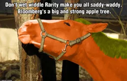 Size: 1024x655 | Tagged: safe, derpibooru import, applejack, bloomberg, horse, over a barrel, irl, irl horse, photo, real, recolored hoers, tree