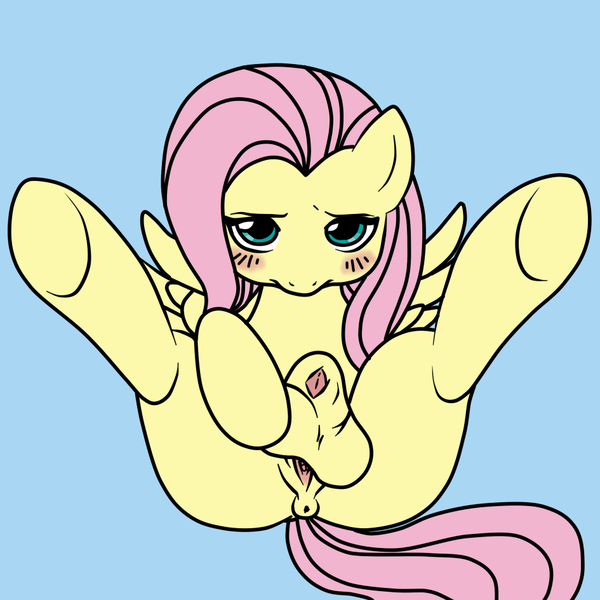 Size: 945x945 | Tagged: explicit, artist:bron3101, artist:megasweet, color edit, derpibooru import, edit, fluttershy, pegasus, pony, anatomically correct, anus, balls, colored, frontbend, futa, futa fluttershy, herm, horsecock, intersex, lying down, nudity, on back, penis, ponut, presenting, sheath, sheathed, simple background, solo, solo futa, spread legs, spread wings, spreading, vagina, vulva, wings