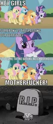 Size: 568x1331 | Tagged: applejack, comic, derpibooru import, faic, fluttershy, gravestone, one krabs trash, rainbow dash, rarity, safe, smirk, spongebob squarepants, twiface, twilight sparkle, vulgar, wrong neighborhood