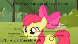 Size: 1280x723 | Tagged: 10/10, analysis, apple bloom, caption, derpibooru import, edit, image macro, safe, solo, text, vulgar