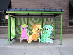 Size: 1600x1200 | Tagged: safe, derpibooru import, applejack, daisy, flower wishes, lyra heartstrings, earth pony, pony, unicorn, bus stop, female, irl, mare, meme, photo, ponies in real life, sitting, sitting lyra