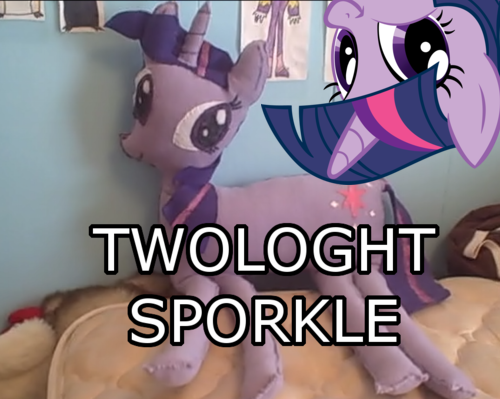 Size: 500x399 | Tagged: artist needed, derpibooru import, dwight spergle, faic, irl, photo, plushie, safe, smirk, twiface, twologht sporkle, wrong neighborhood