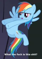 Size: 581x813 | Tagged: colorful, derpibooru import, rainbow dash, reaction image, safe, solo, swearing, vulgar, what the fuck is this shit, wtf