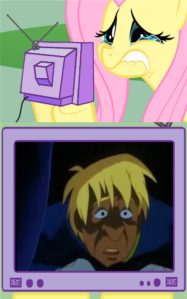 Size: 707x1131 | Tagged: batman, batman the animated series, crying, derpibooru import, exploitable meme, fluttercry, fluttershy, jervis tetch, mad hatter, meme, obligatory pony, safe, tv meme