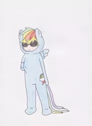 Size: 764x1045 | Tagged: artist:blueheir413, clothes, costume, dave strider, derpibooru import, homestuck, rainbow dash, safe, sunglasses