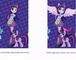 Size: 889x702 | Tagged: safe, derpibooru import, twilight sparkle, equestria girls, equestria girls (movie), comparison