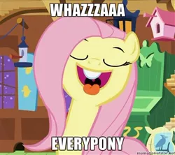 Size: 360x319 | Tagged: caption, derpibooru import, flutterhigh, fluttershy, high, image macro, safe, text