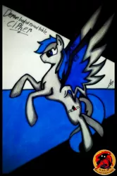 Size: 2039x3065 | Tagged: safe, artist:canvymamamoo, derpibooru import, ponified, pony, ace combat, cipher