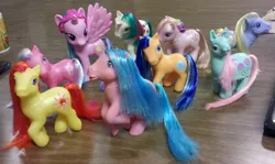 Size: 800x476 | Tagged: bubblecup, cha cha, cotton candy (g3), derpibooru import, firefly, fluttershy (g3), g1, g3, gusty, irl, llama, photo, pinklestia, princess celestia, safe, sunshimmer, toy, wishawhirl