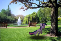 Size: 800x533 | Tagged: safe, artist:ryanboy17, derpibooru import, twilight sparkle, human, pony, bench, fountain, irl, irl human, lake, park, photo, ponies in real life, tree