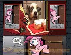Size: 900x700 | Tagged: cupcake, cupcake dog, derpibooru import, dog, exploitable meme, food, irl, irl dog, meme, obligatory pony, pinkie pie, safe, surprise door