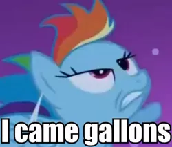 Size: 560x477 | Tagged: suggestive, derpibooru import, edit, edited screencap, screencap, rainbow dash, pony, sleepless in ponyville, caption, faic, female, i came, implied orgasm, mare, out of context, solo