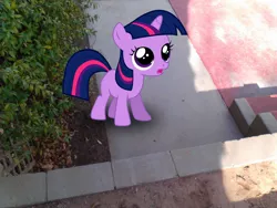 Size: 2048x1536 | Tagged: safe, artist:tokkazutara1164, derpibooru import, twilight sparkle, pony, female, filly, filly twilight sparkle, irl, outdoors, photo, ponies in real life, vector, younger