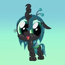 Size: 500x500 | Tagged: artist:starwingcorona, artist:syggie, ask the changeling princess, big eyes, changeling, changeling queen, crown, cute, cutealis, derpibooru import, fangs, female, filly, filly queen chrysalis, foal, freckles, gradient background, happy, jewelry, looking at you, nymph, queen chrysalis, regalia, safe, small wings, smiling, solo, standing, wings, younger