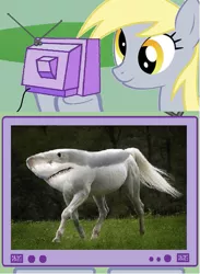 Size: 439x601 | Tagged: safe, derpibooru import, derpy hooves, chimera, horse, hybrid, pegasus, pony, shark, exploitable meme, female, impossible creatures, mare, meme, obligatory pony, tv meme, wat, what has science done