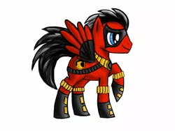 Size: 1024x768 | Tagged: safe, artist:icollectluck, derpibooru import, ponified, pegasus, pony, belt, boots, dc comics, domino mask, hoof boots, mask, red robin, robin, shoes