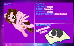 Size: 2560x1600 | Tagged: safe, artist:shinta-girl, derpibooru import, oc, oc:shinta pony, unofficial characters only, pegasus, pony, ceruyo, guinea pig, spanish