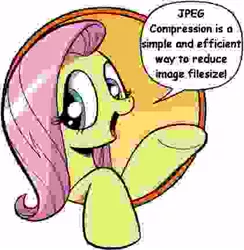 Size: 421x431 | Tagged: safe, artist:andypriceart, derpibooru import, fluttershy, pegasus, pony, bad advice fluttershy, blatant lies, comic sans, dialogue, exploitable meme, female, humor, irony, mare, meme, needs more jpeg, open mouth, raised hoof