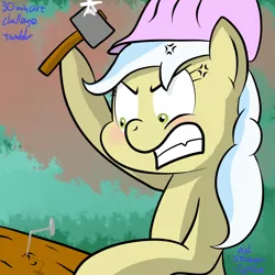 Size: 1000x1000 | Tagged: safe, artist:stoner-spike, derpibooru import, ambrosia, cindy block, earth pony, pony, 30 minute art challenge, angry, background pony, cross-popping veins, female, hammer, hard hat, mare, nail
