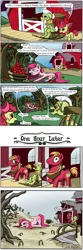Size: 1000x3000 | Tagged: safe, artist:fign01, derpibooru import, apple bloom, big macintosh, granny smith, pinkie pie, earth pony, pony, magical mystery cure, apple, apple orchard, apple tree, barn, basket, comic, dead tree, female, filly, foal, food, fridge logic, male, mare, orchard, rocking chair, stallion, stupidity, swapped cutie marks, sweet apple acres, tree