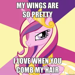 Size: 310x310 | Tagged: advice meme, bedroom eyes, derpibooru import, exploitable meme, i love when you comb my hair, meme, my wings are so pretty, princess cadance, safe, smiling, solo