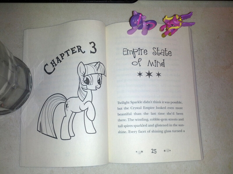 Size: 1200x900 | Tagged: blind bag, derpibooru import, irl, my little pony chapter books, photo, princess cadance, safe, spoiler:book, toy, twilight sparkle, twilight sparkle and the crystal heart spell